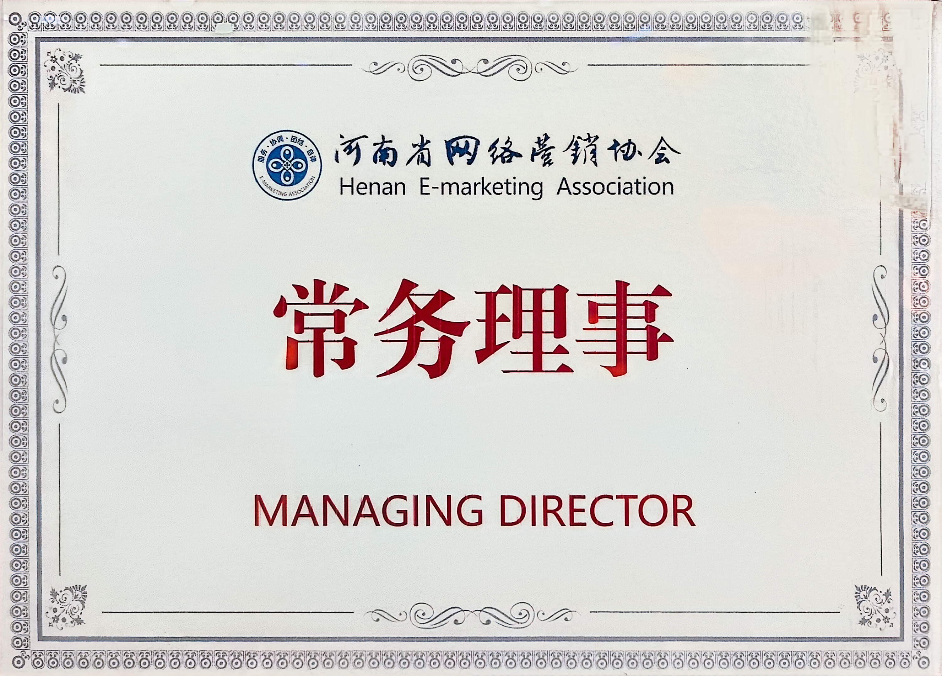 河南省网络营销协会常务理事